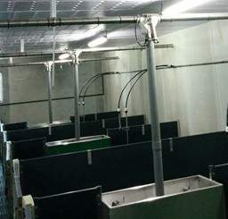 Multiphase skiold acemo 1